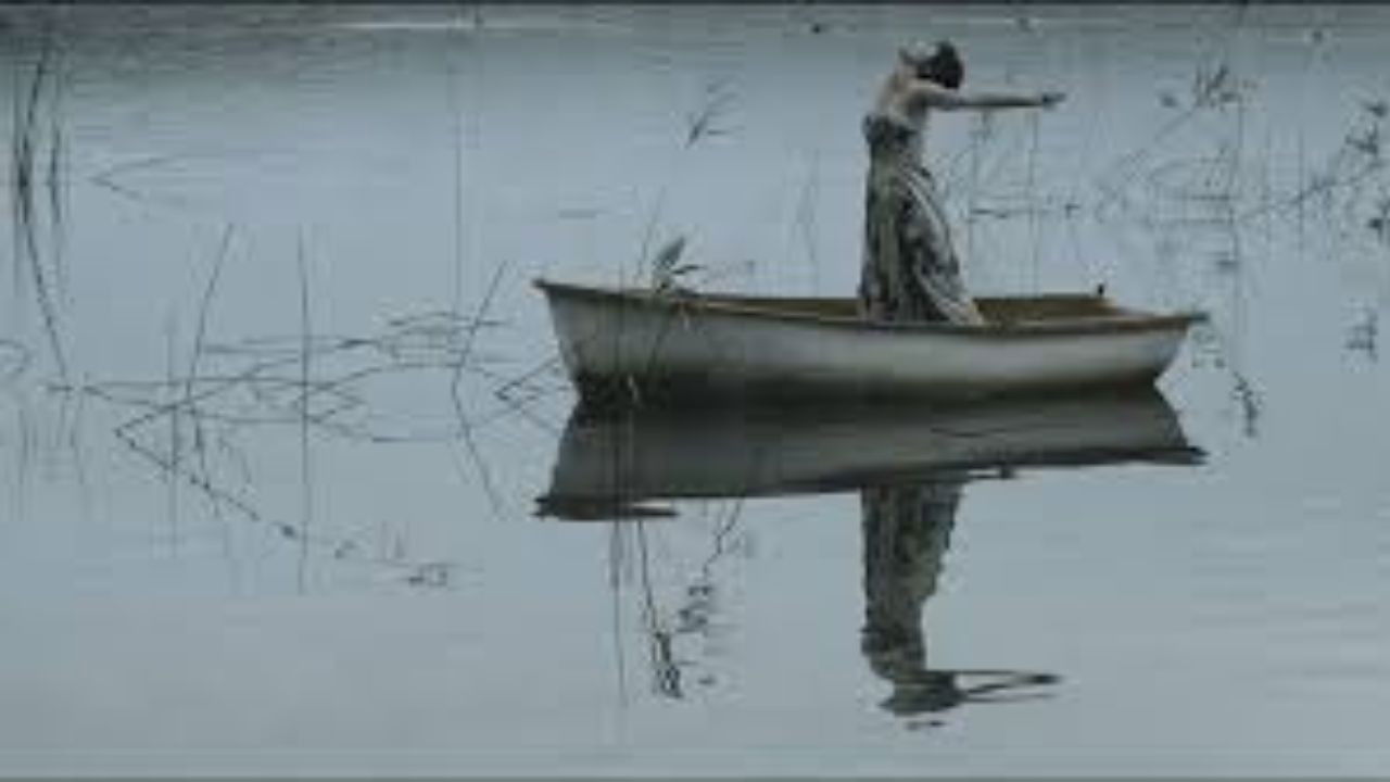 Algunas aves vuelan solas