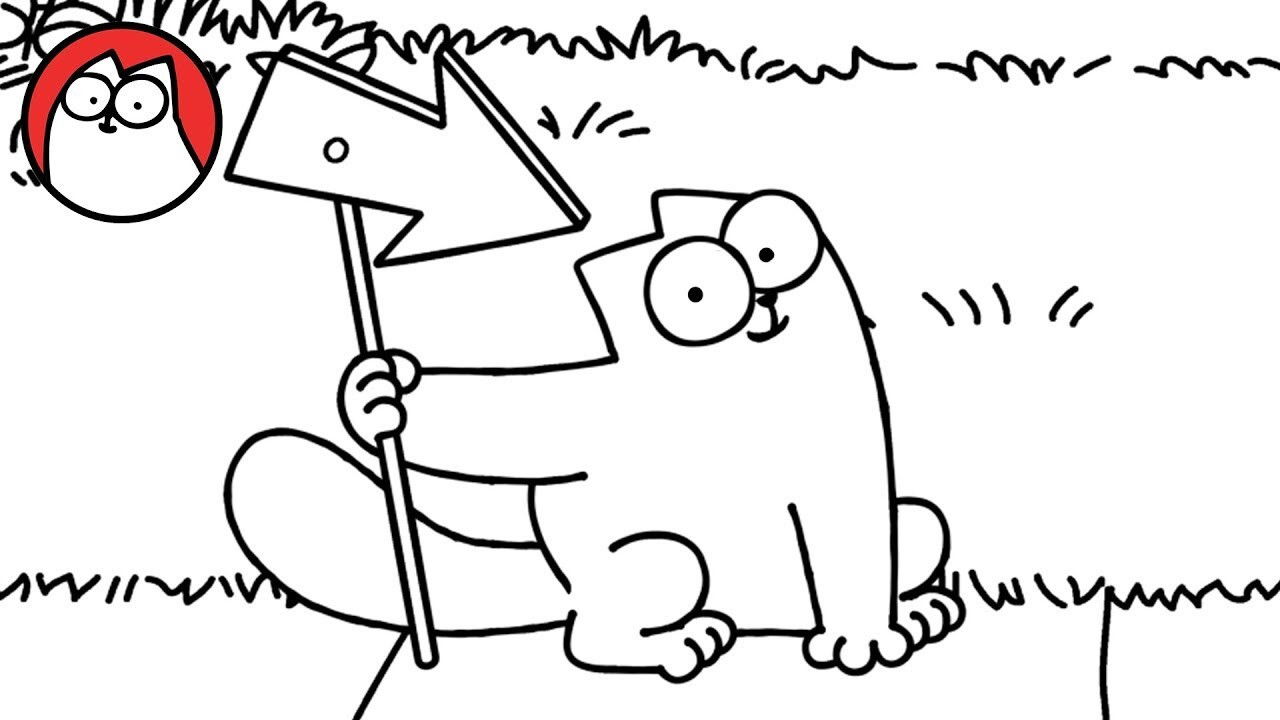 Missing Cat (4): Found!