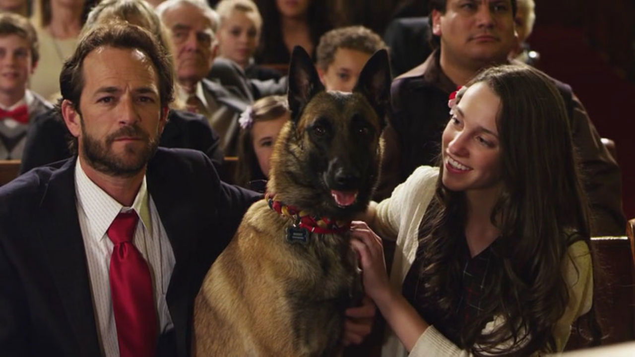 Egy rendőrkutya kalandjai gyűjtemény