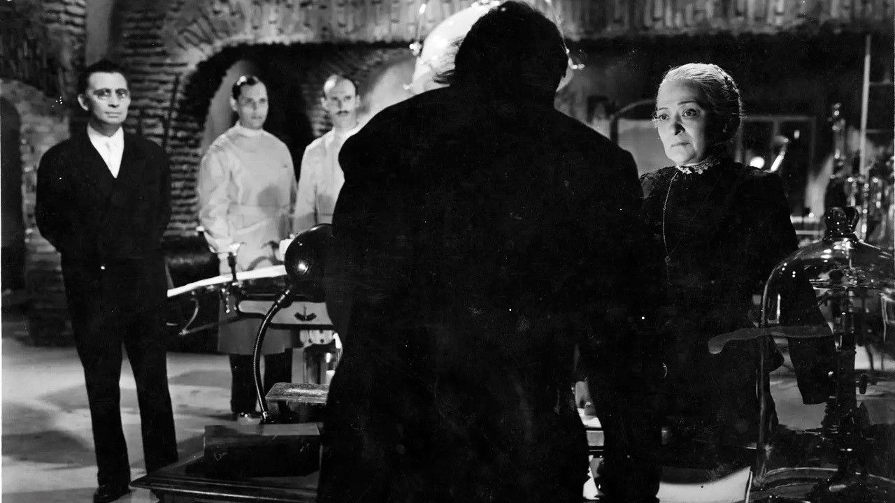 A Light in the Window