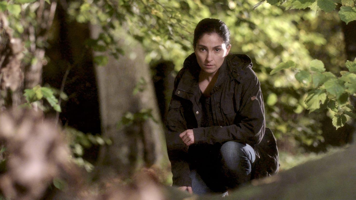 Johan Falk - Rablások rablása