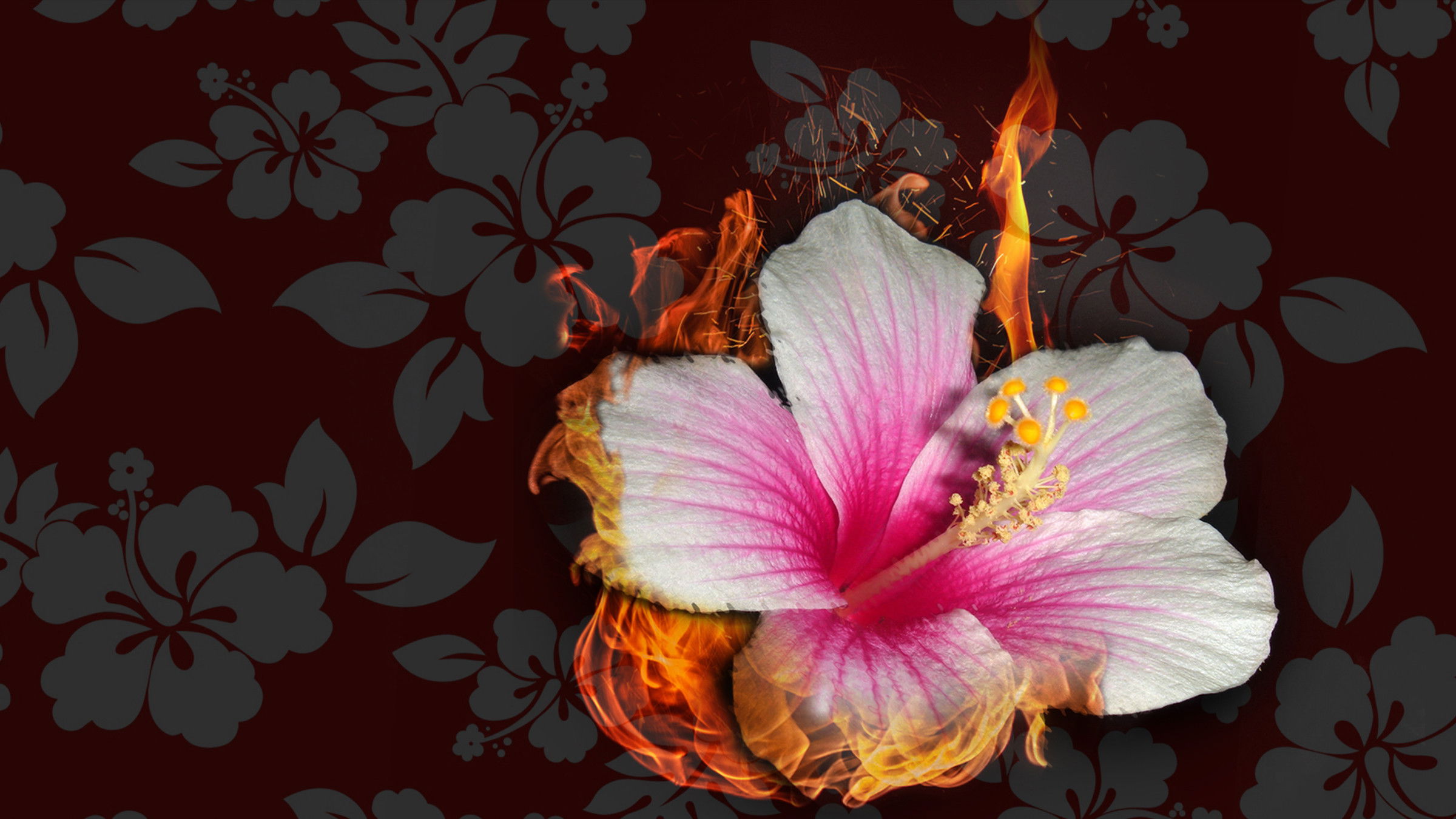 Hawaii: The Stolen Paradise