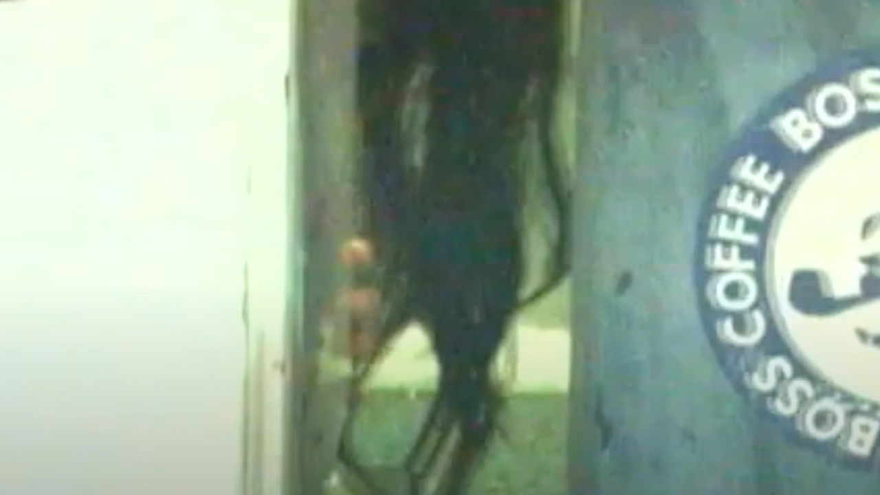 Honto Ni Atta! Noroi No Video 12