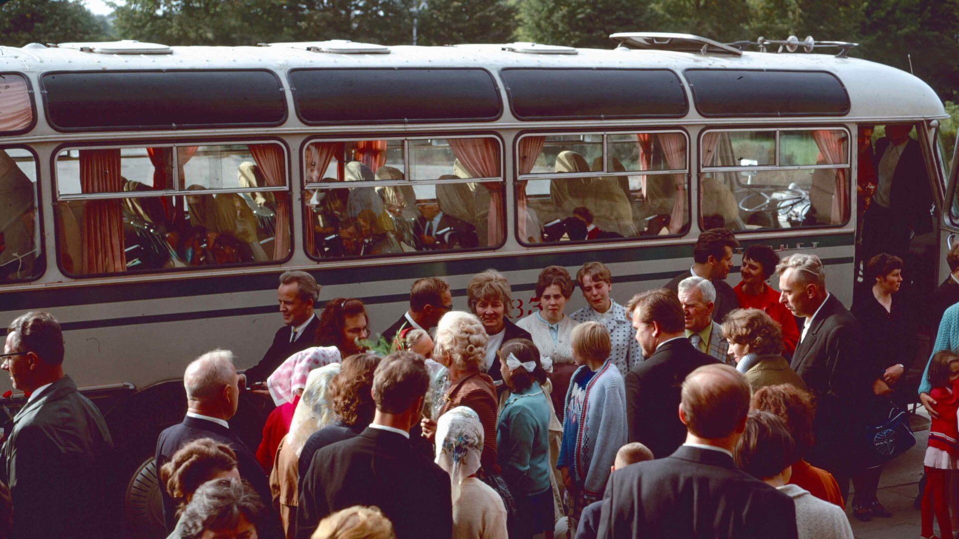 Back to the Dreamland