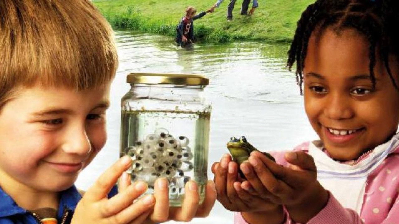 Simone van Dusseldorp