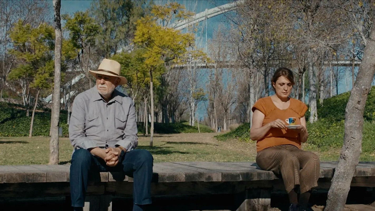 An Elephant On A Spider Web