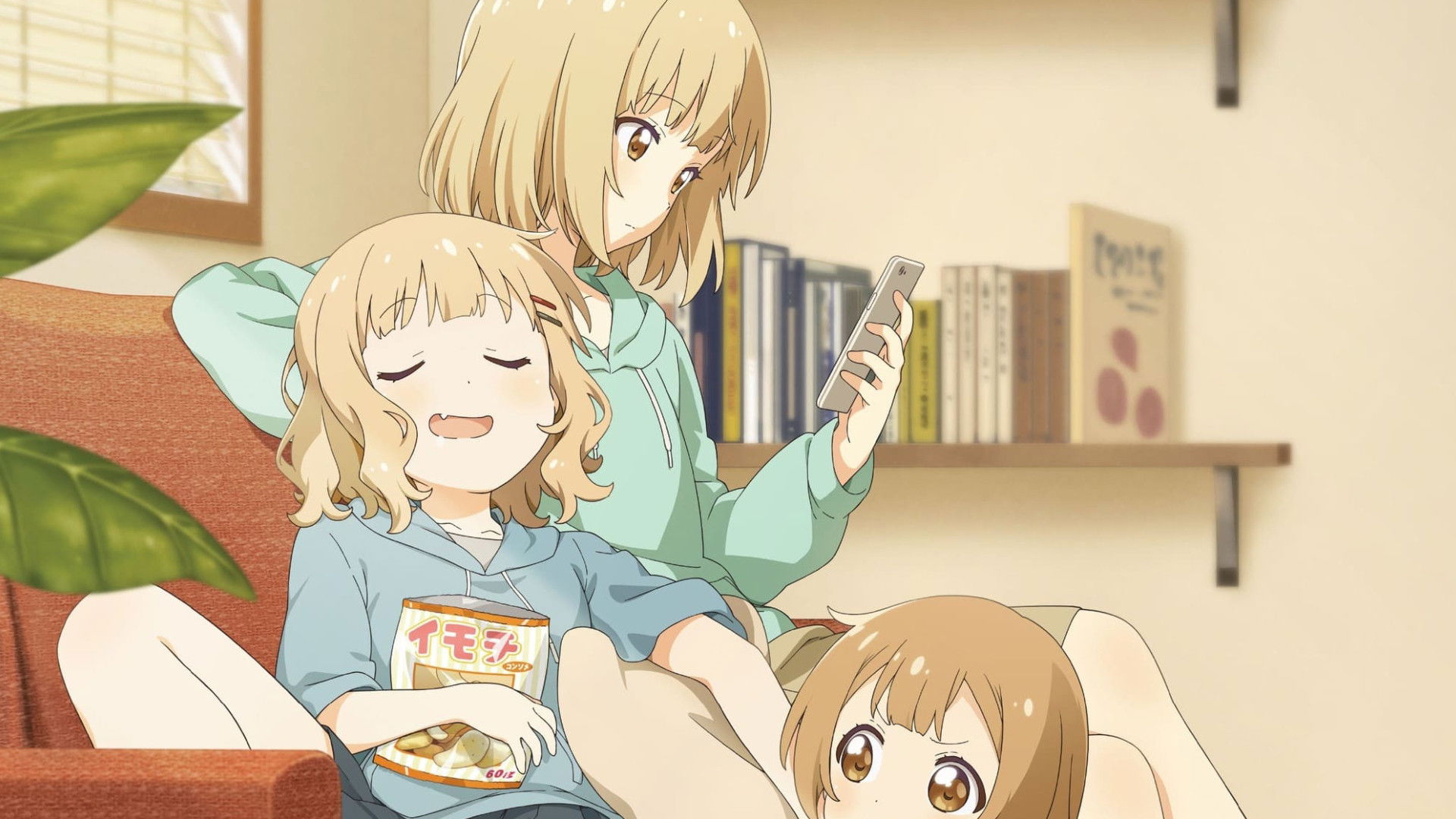 大室家 Collection