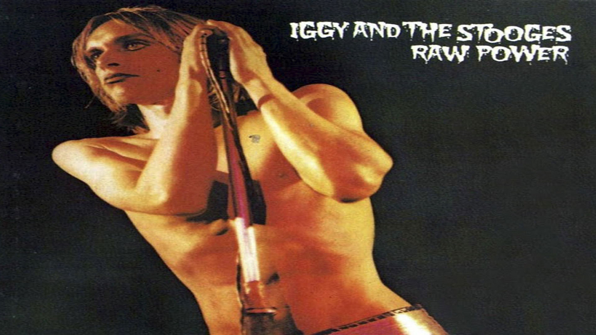 Iggy Pop And The Stooges: Raw Power Live - In The Hands Of The Fans