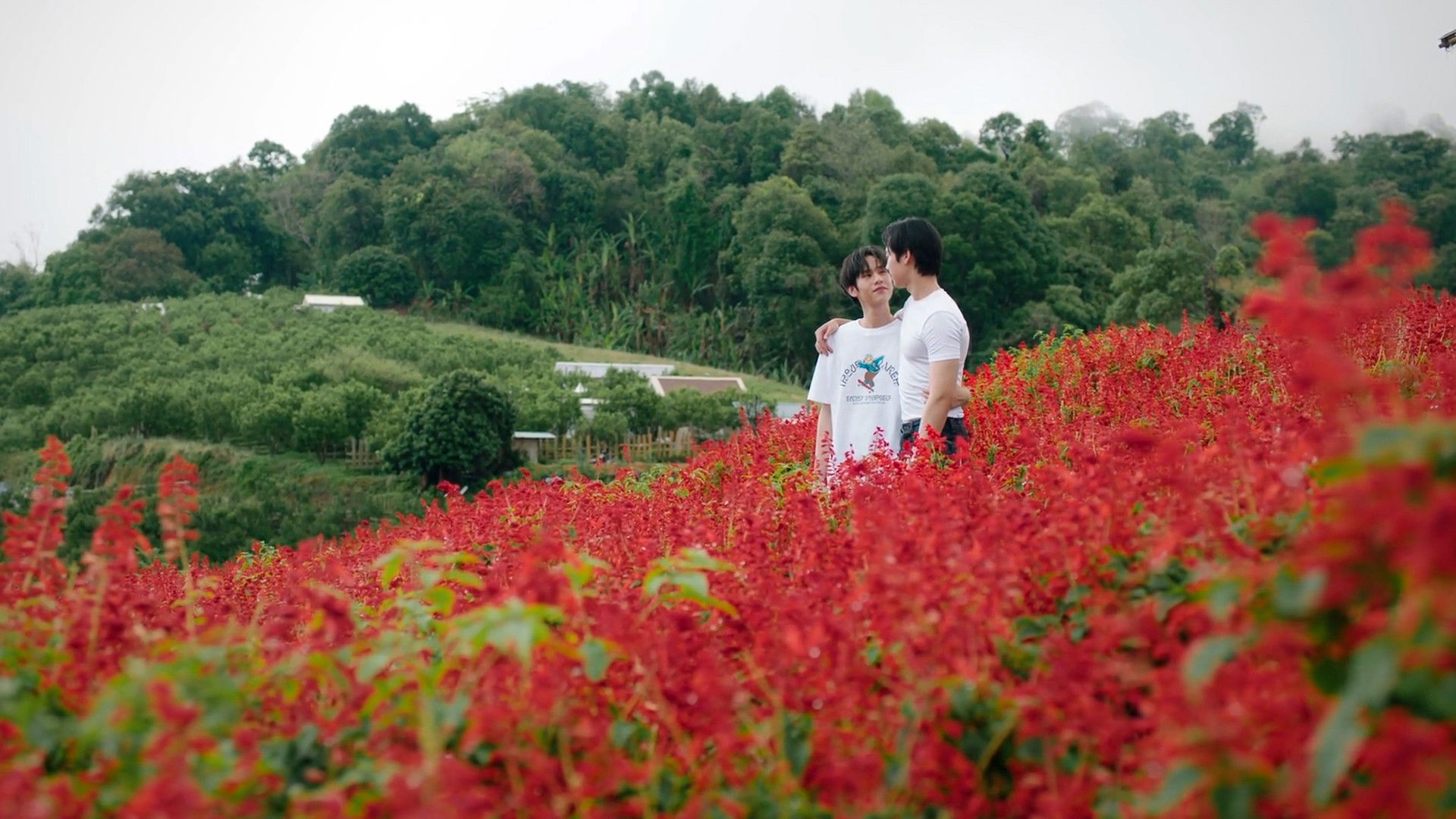 Special Step: Wedding Plan