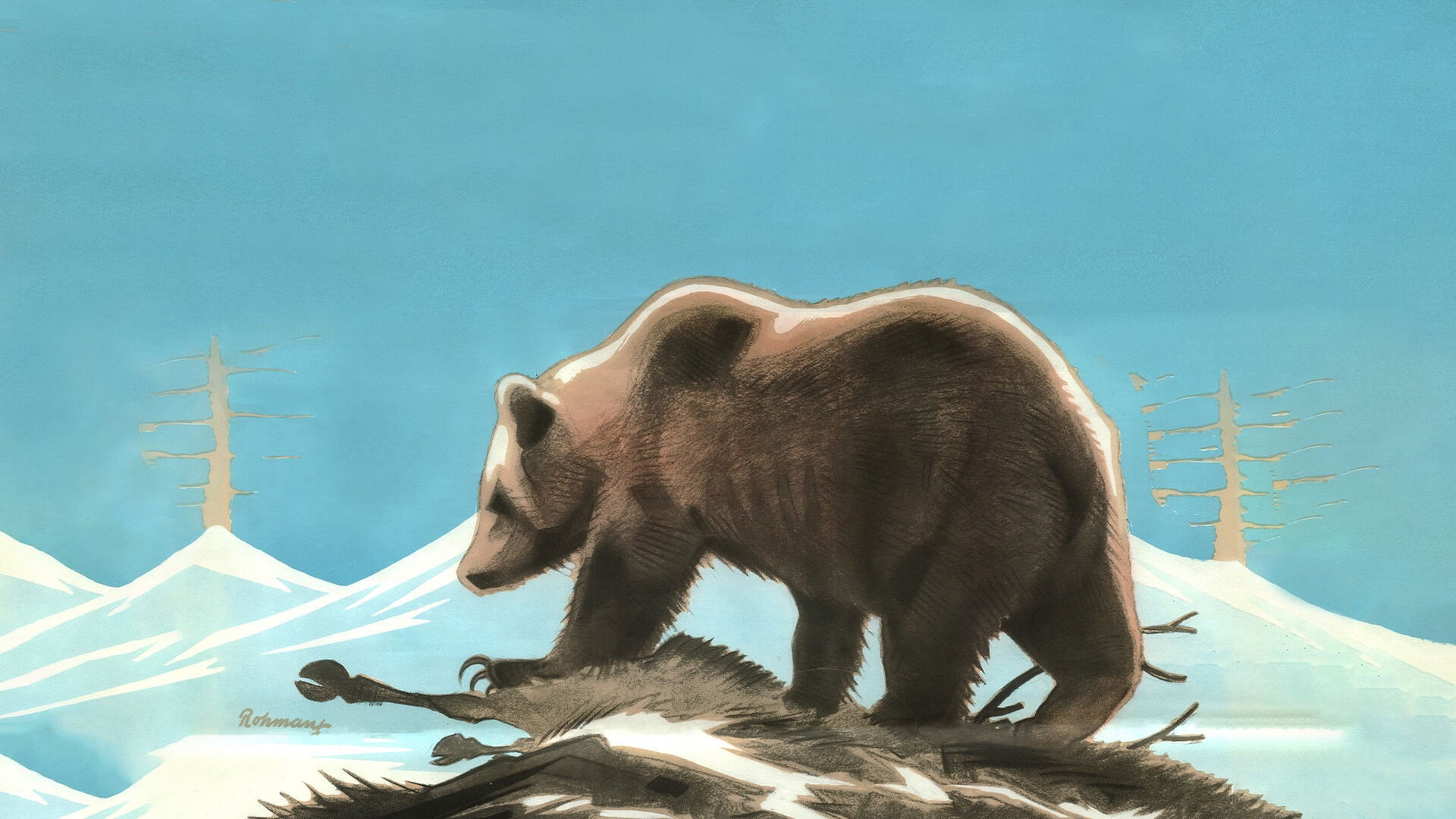 In the Kingdom of the Lapland Bear