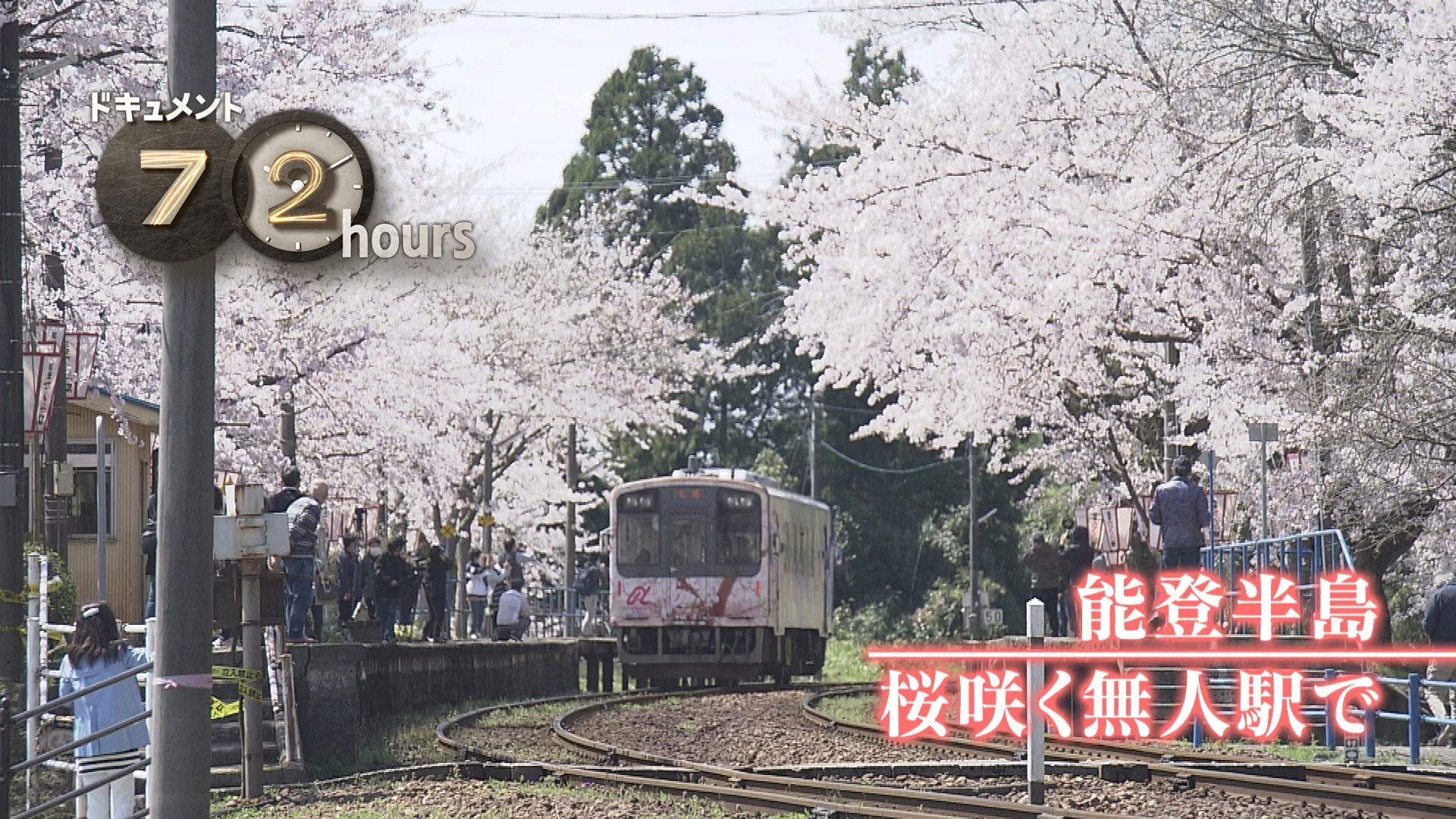 Noto Peninsula: Cherry Blossoms at an Unmanned Station