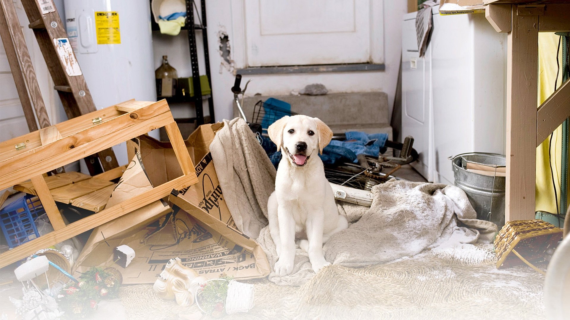 Marley meg én gyűjtemény