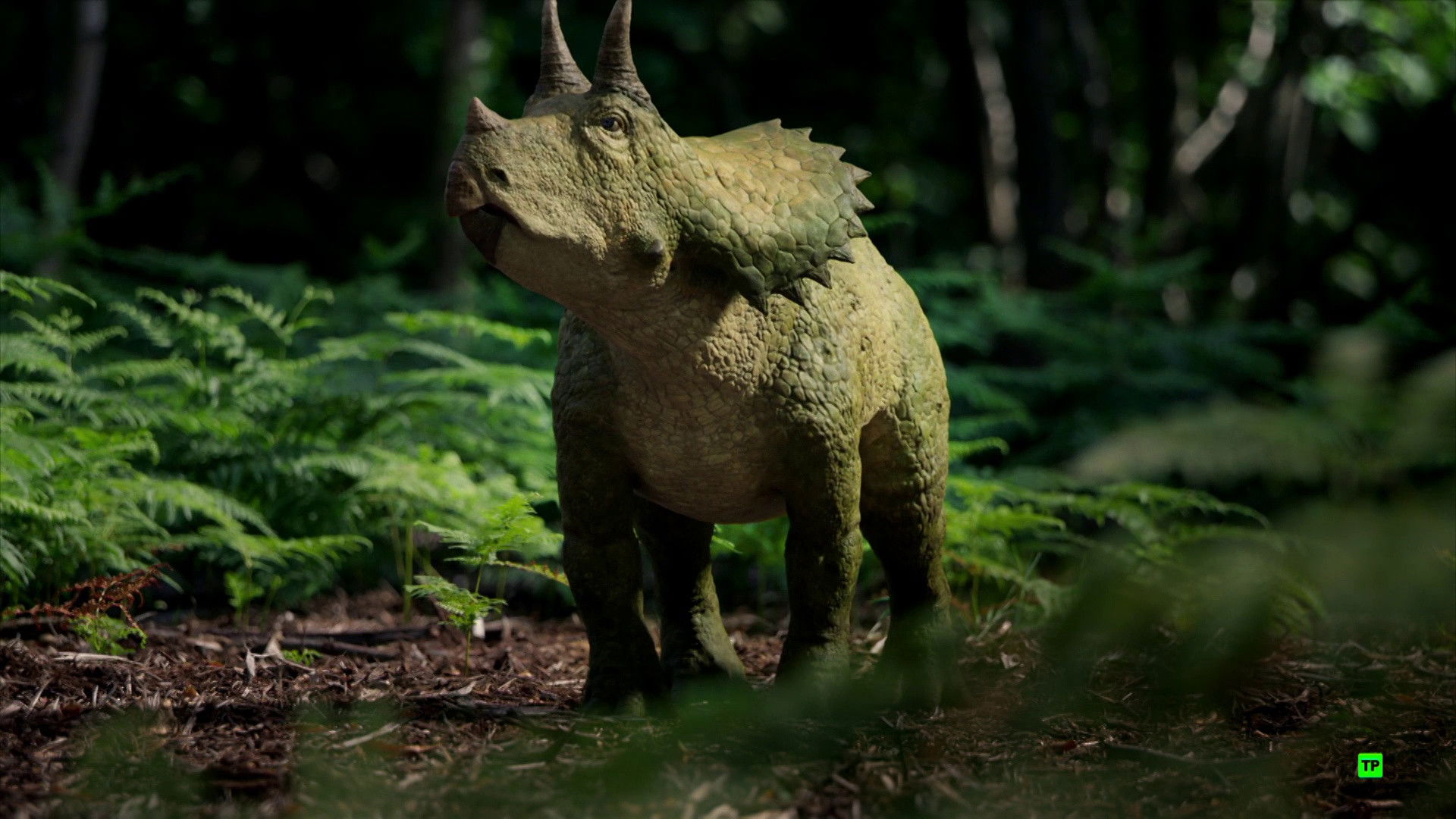 Did a Meteor Kill All the Dinosaurs?