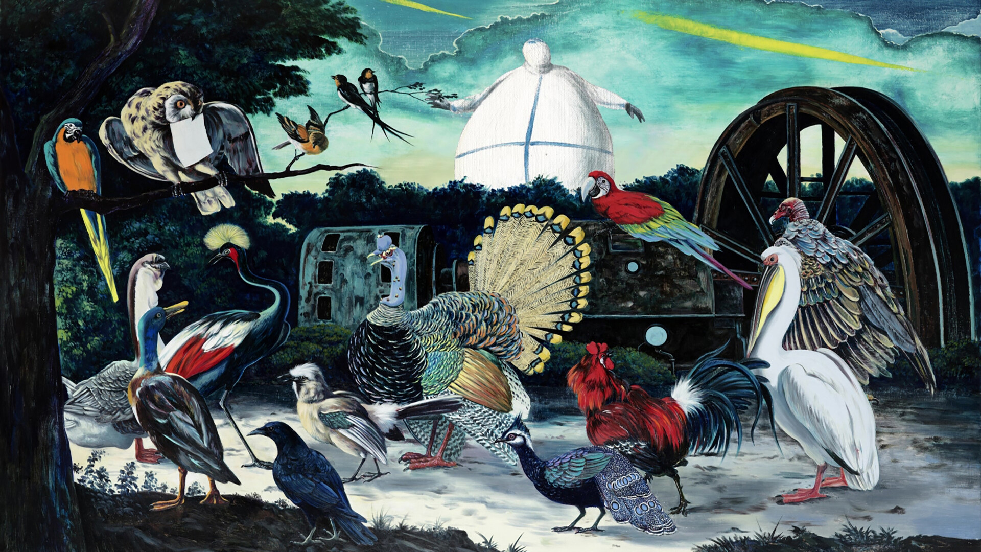 Shocking Dreams in the Circus