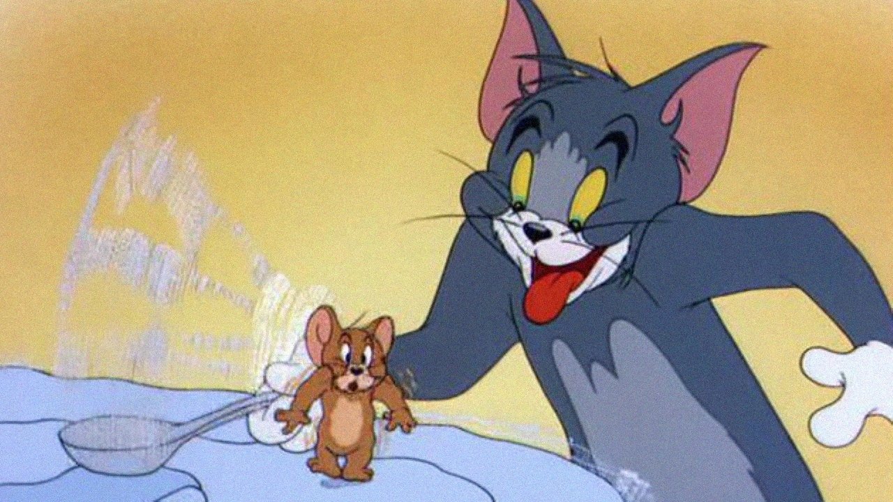 Szombat esti macskabuli