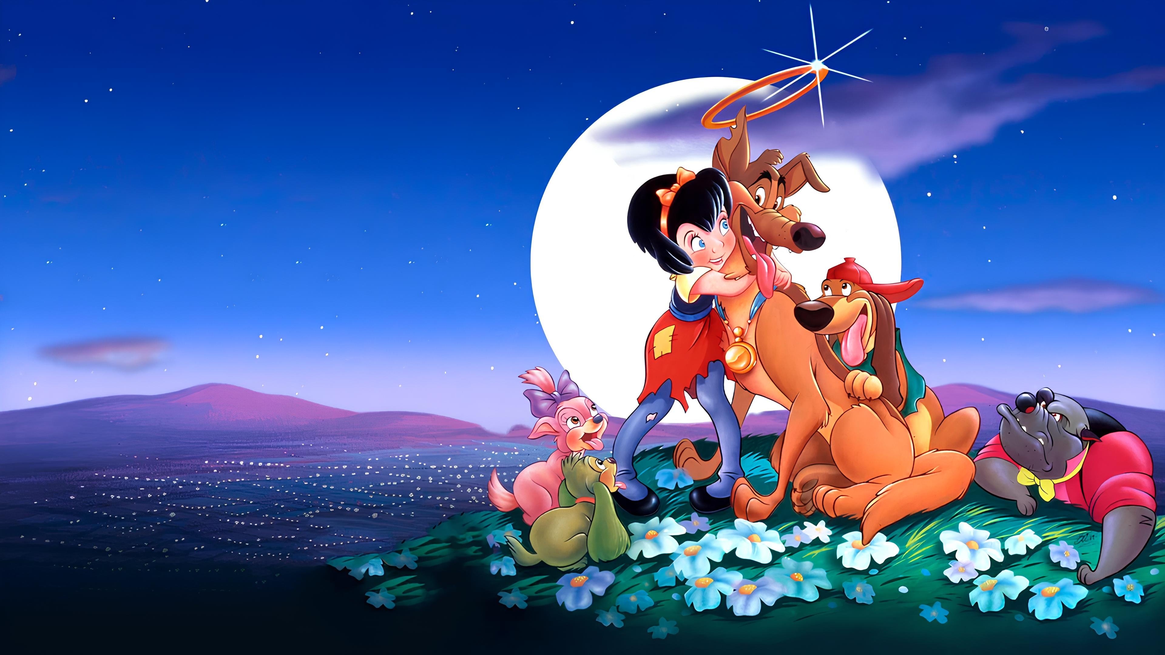 Minden kutya a menybe jut gyűjtemény