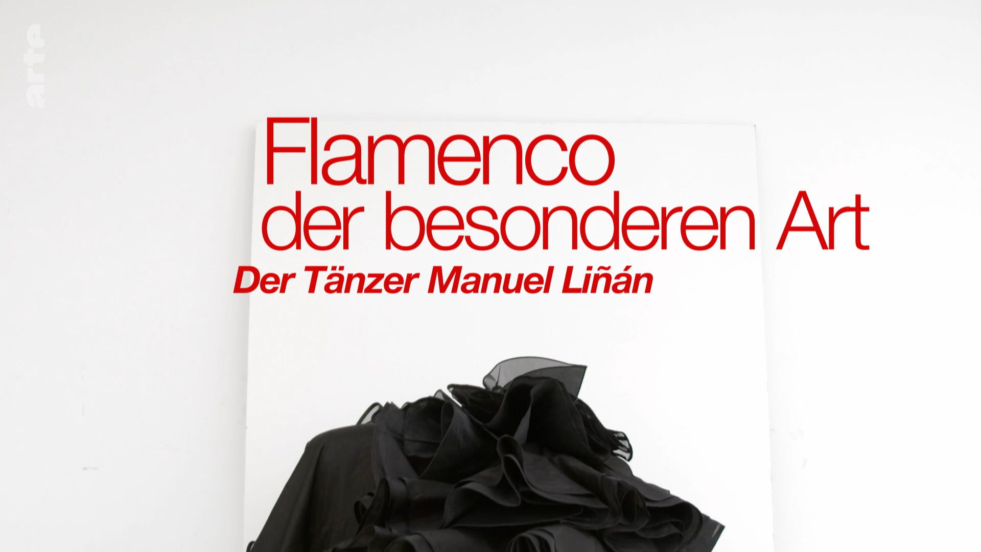 Manuel Liñán - The New Face of Flamenco