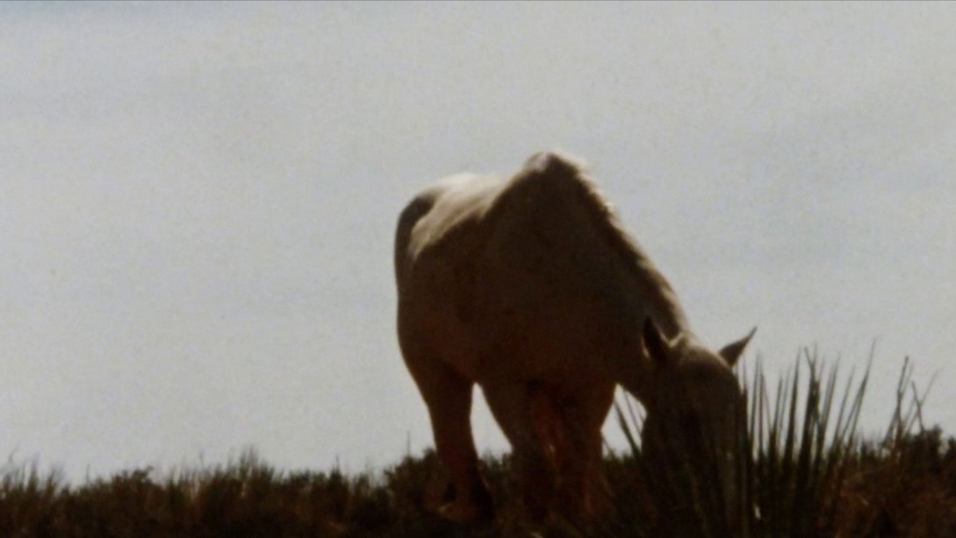 An Architecture of Desire