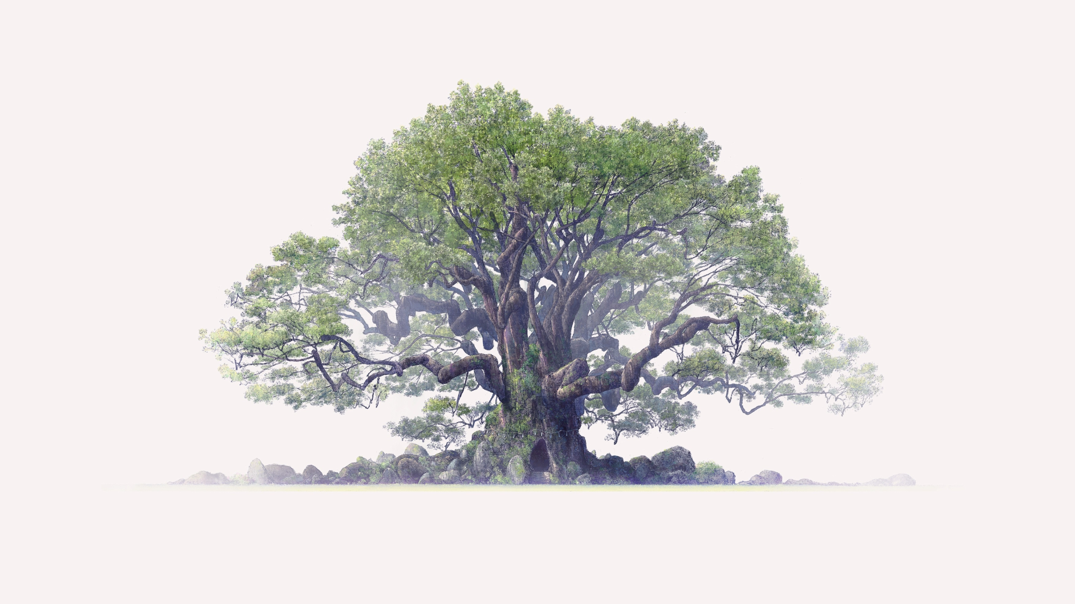 The Keeper of the Camphor Tree