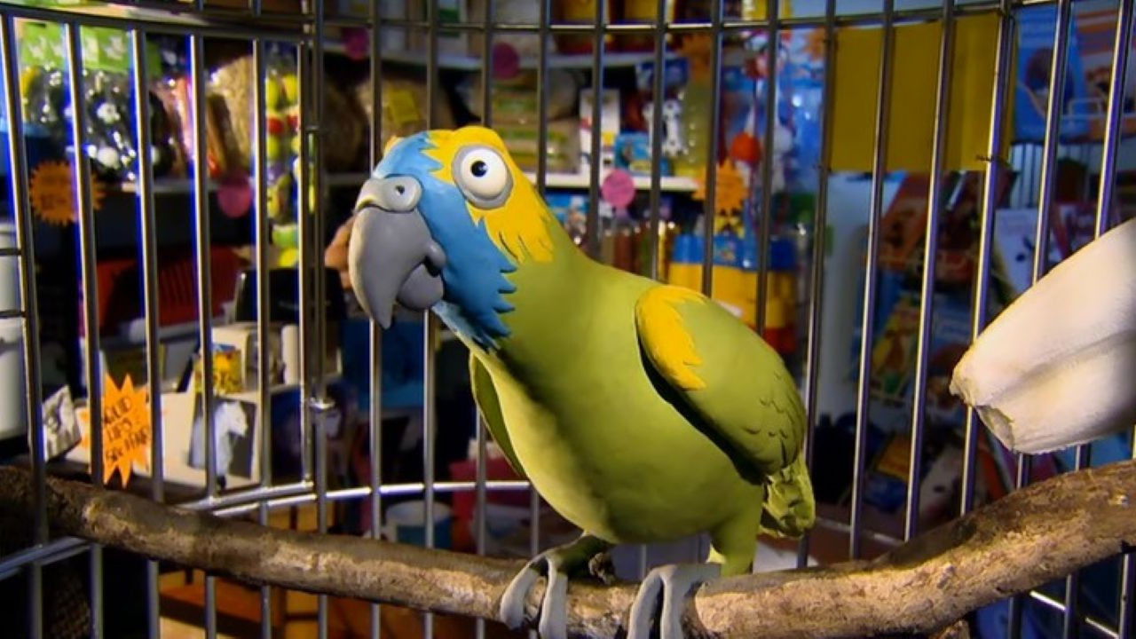 Communication, Feeding Time, Parrot Tongue Twister
