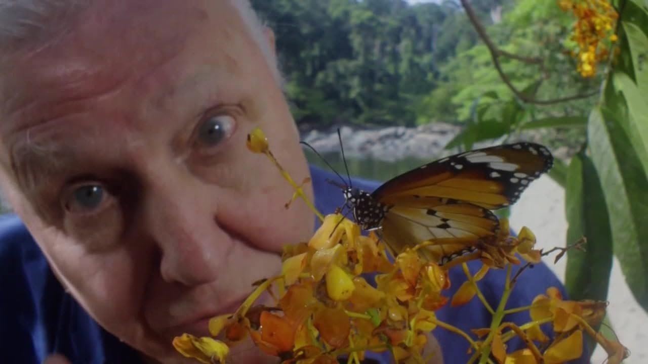 David Attenborough's Conquest of the Skies 3D