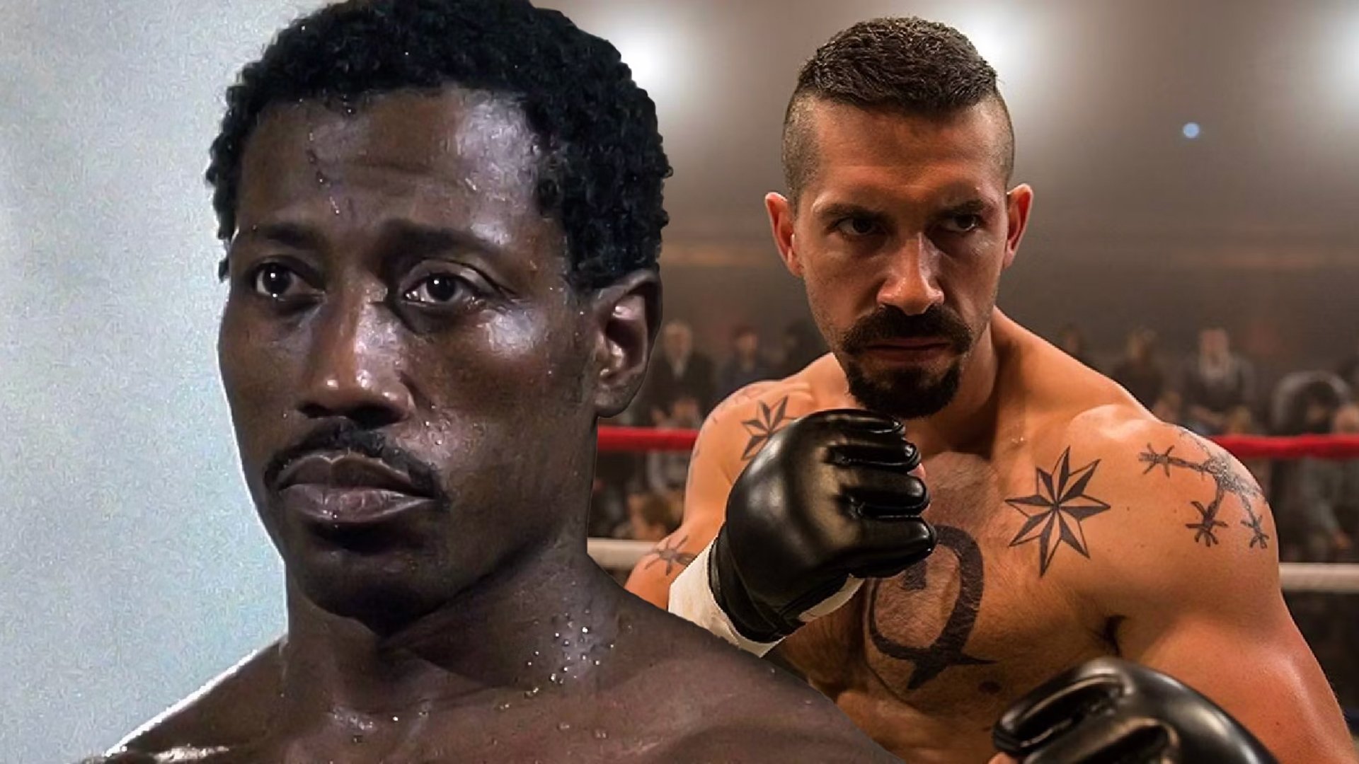 Vitathatatlan gyűjtemény