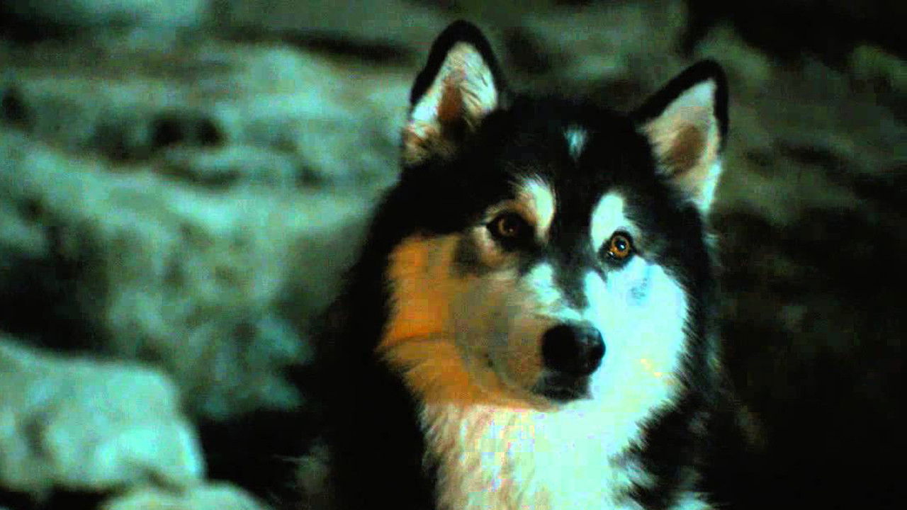 Elveszve A Vadonban gyűjtemény