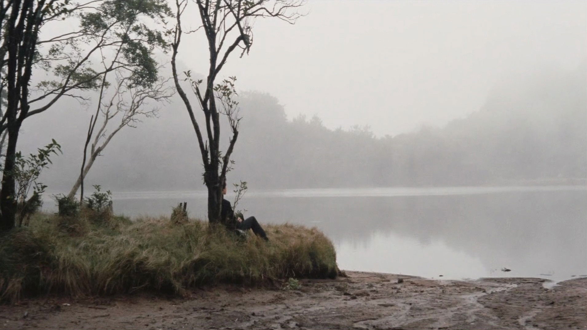 School Festival Night: A Sweet Experience