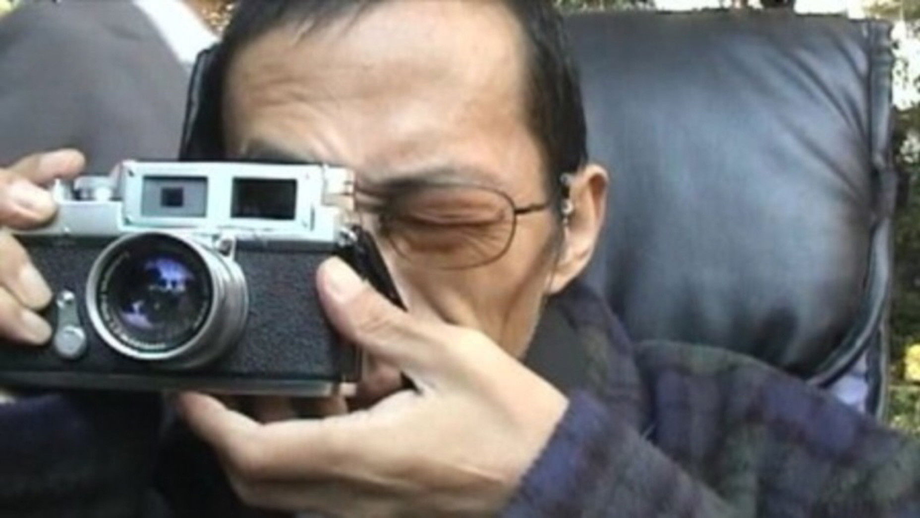 Letter from a Yellow Cherry Blossom