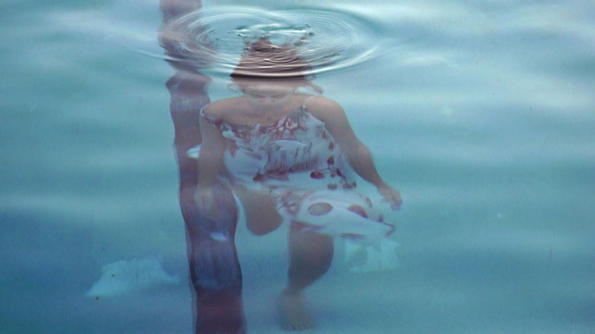 While the Green Grass Grows: A Diary in Seven Parts