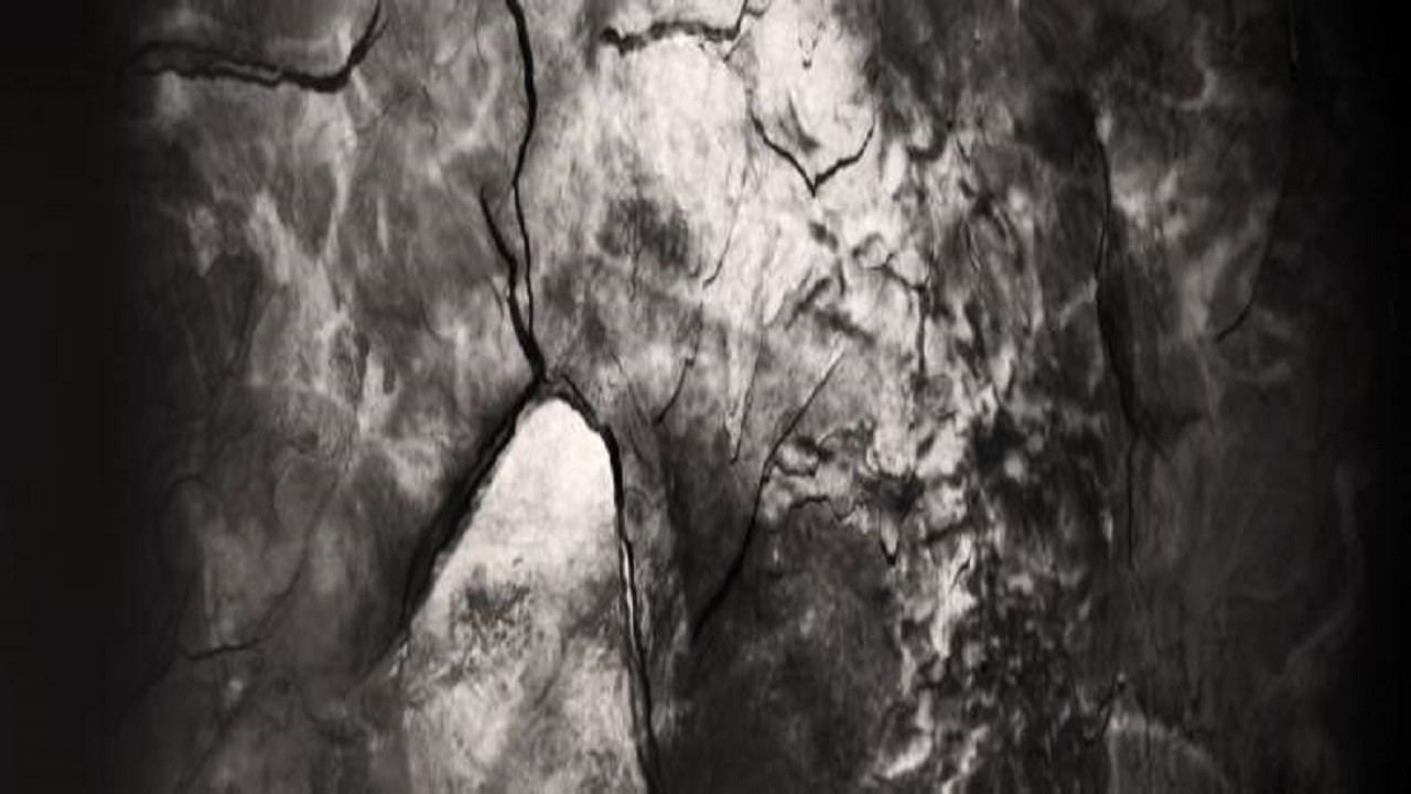 Alexandru Petru Badelita