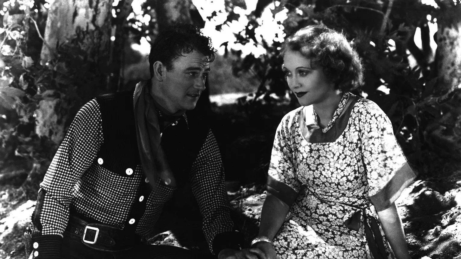 Arizona véres ege alatt