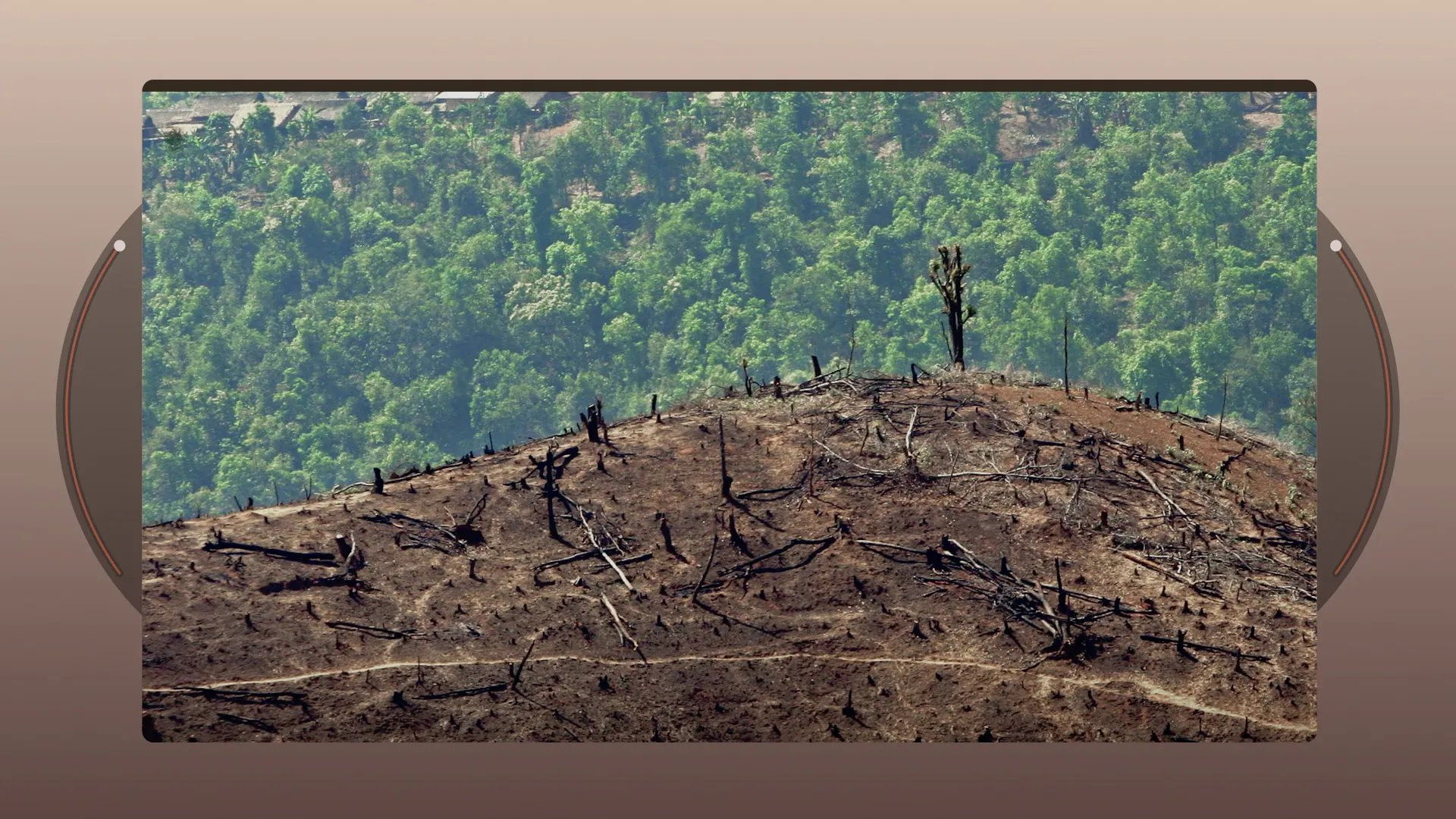 Traffic in Burmese Teak