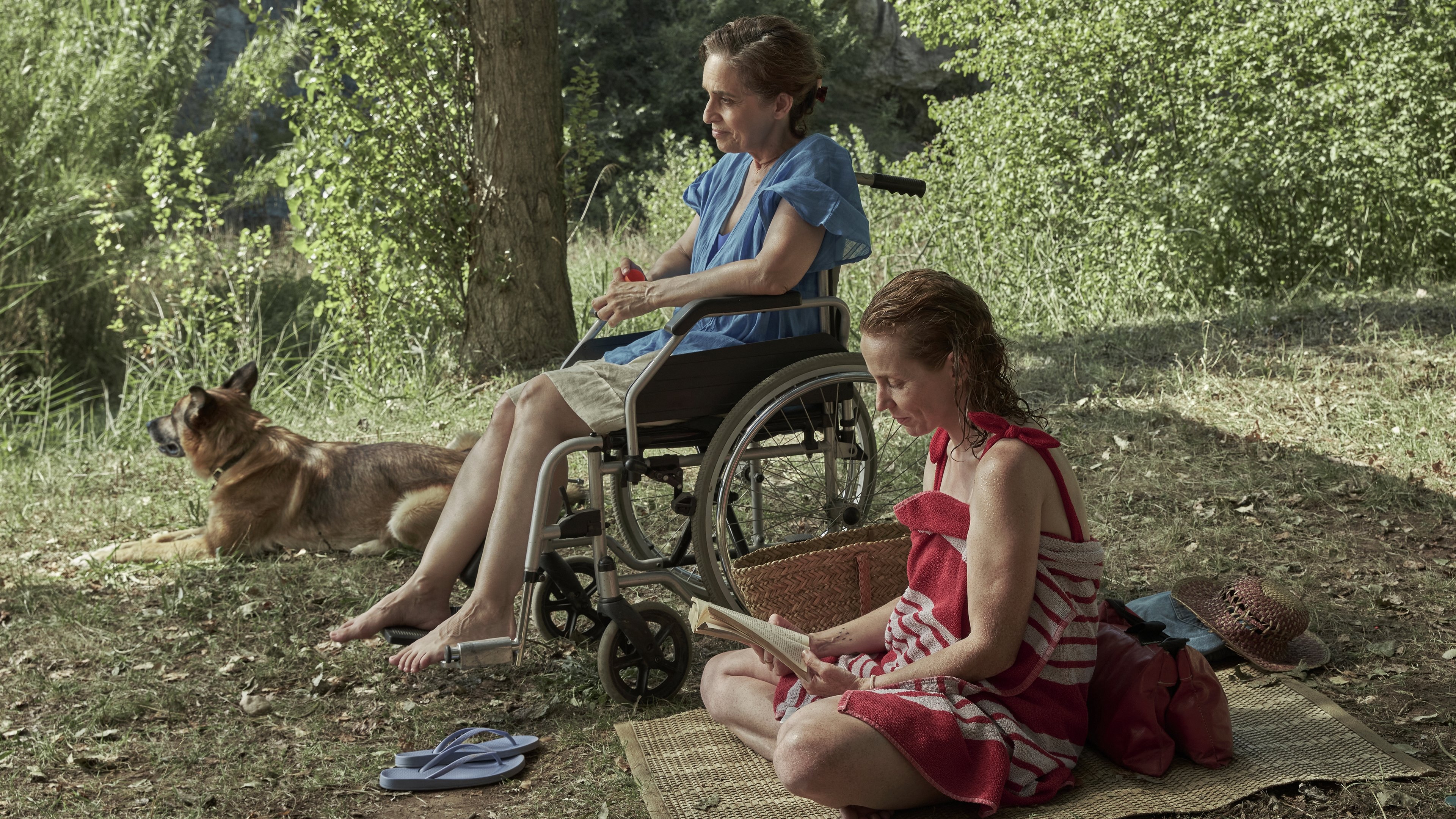 Celia Rico Clavellino