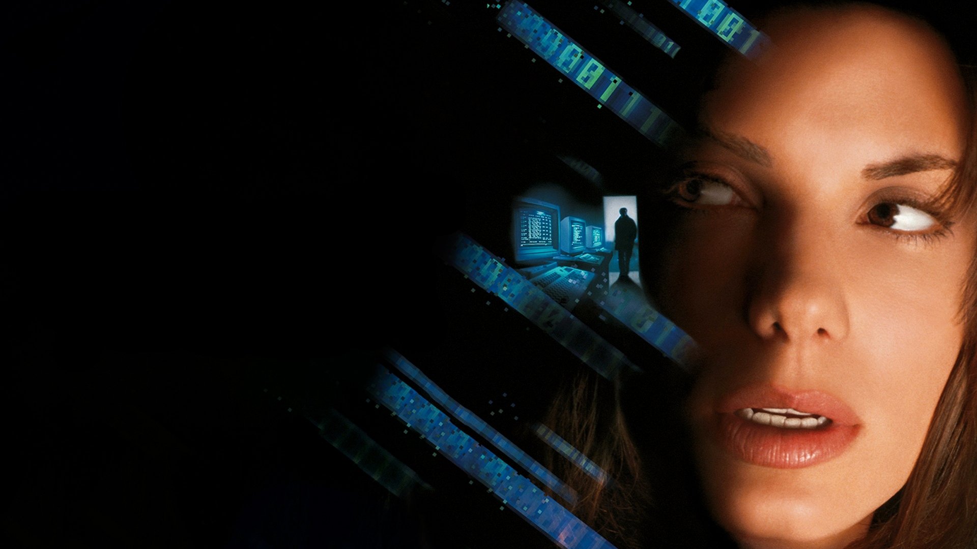 A hálózat csapdájában