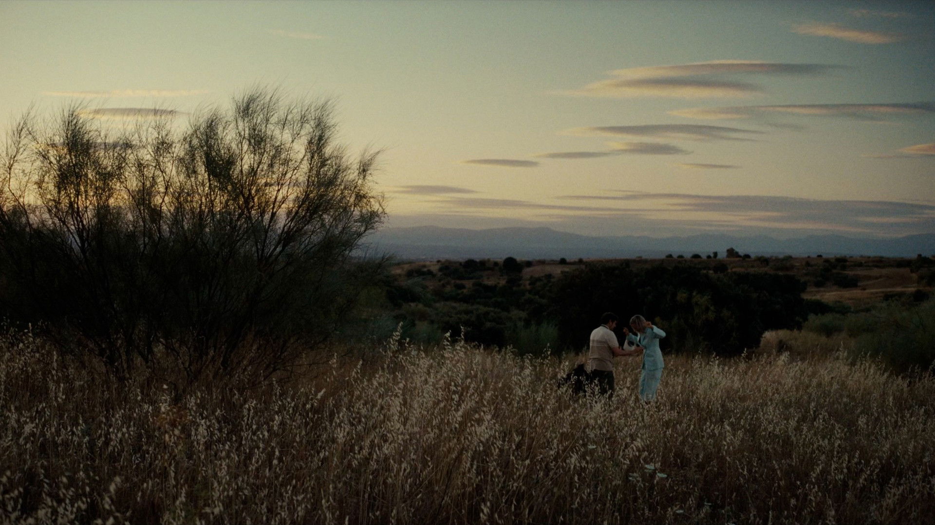 Belén Sánchez Arévalo