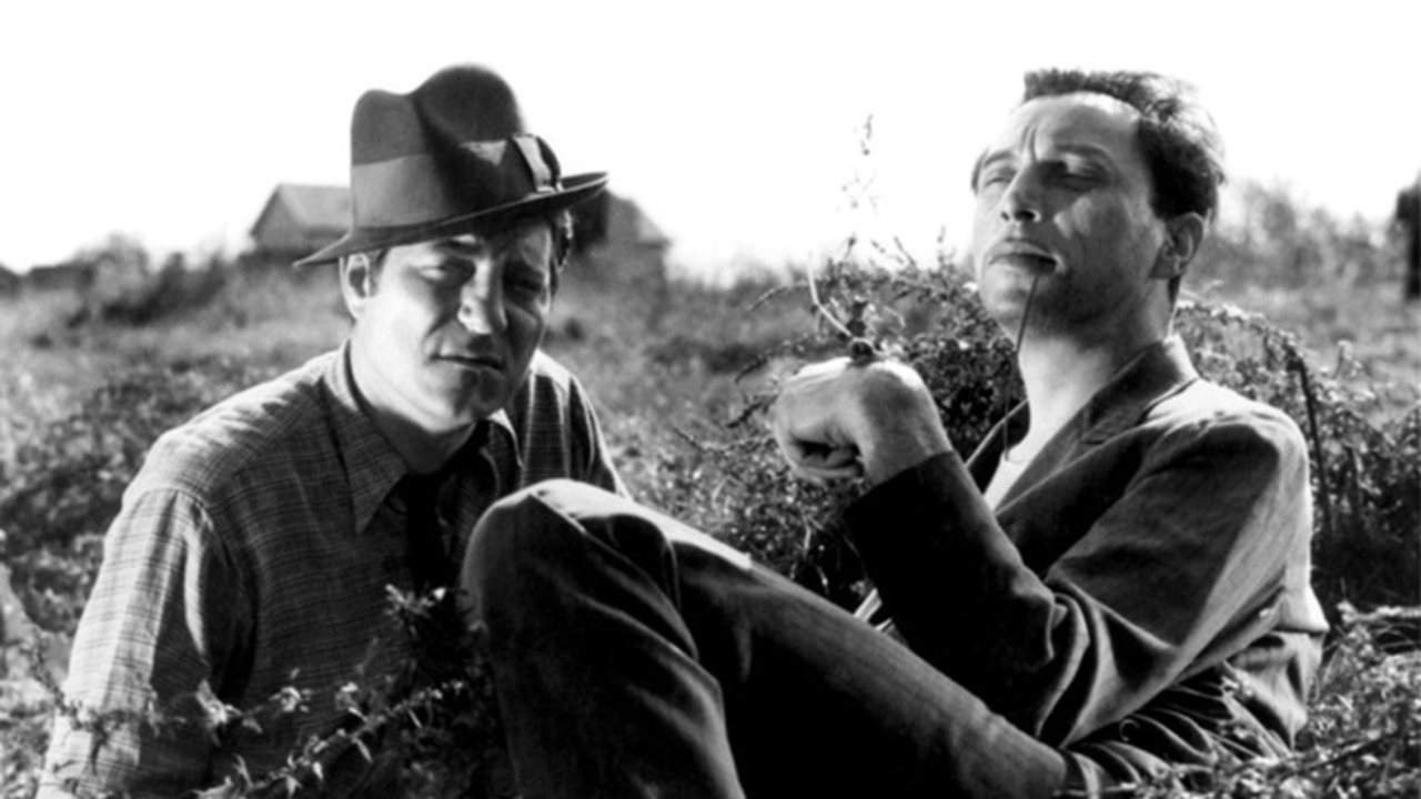 Éjjeli menedékhely