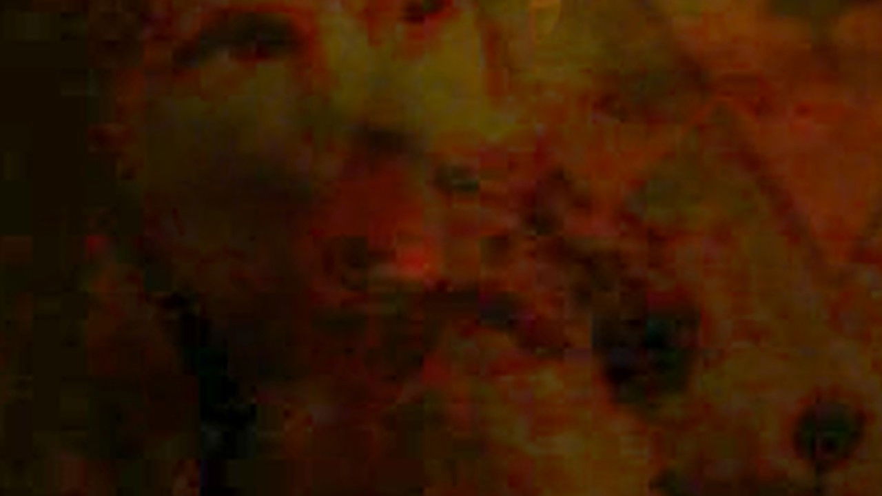 Dogs I Love, People I Love