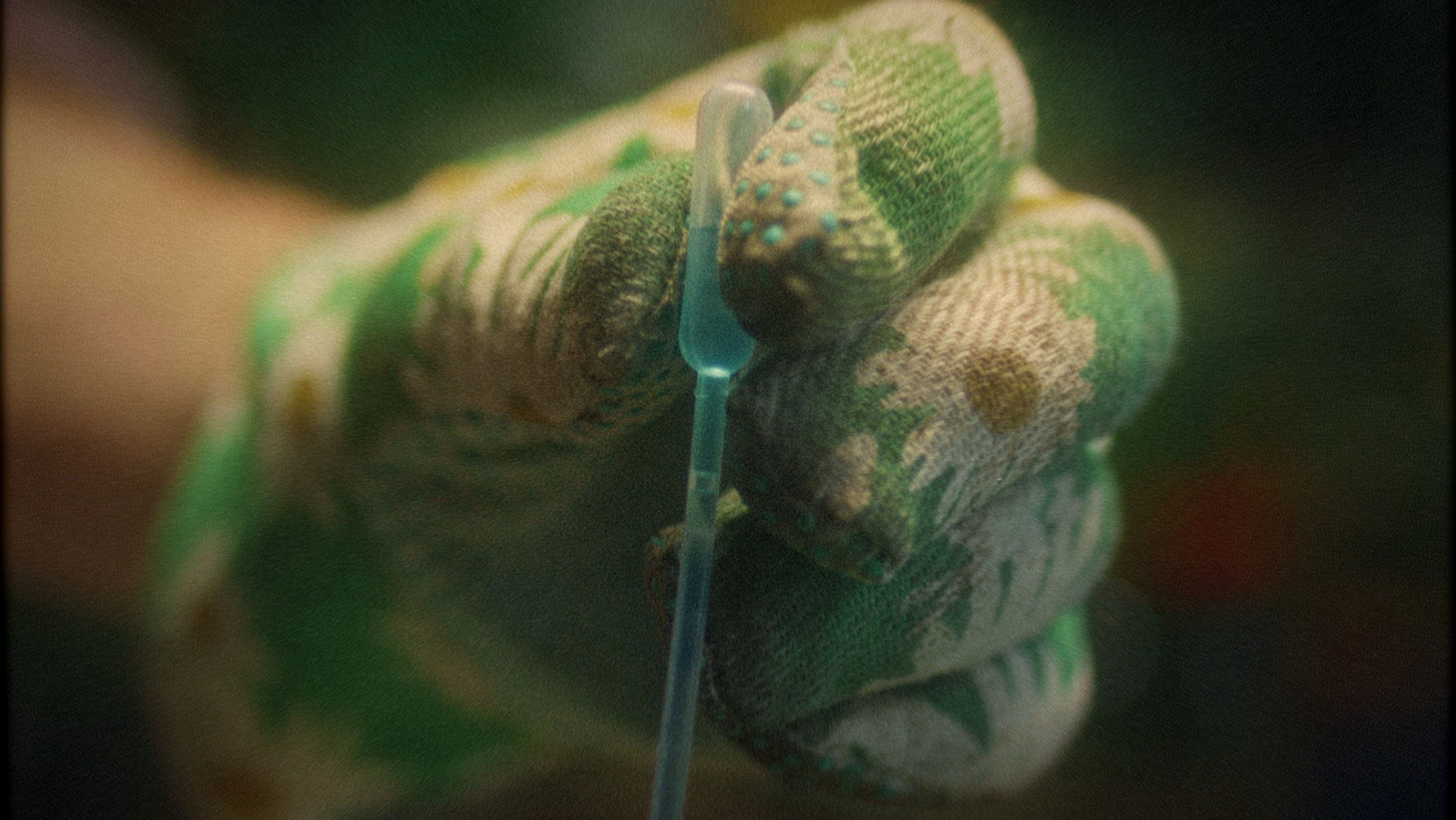 Nicolas Schönberger