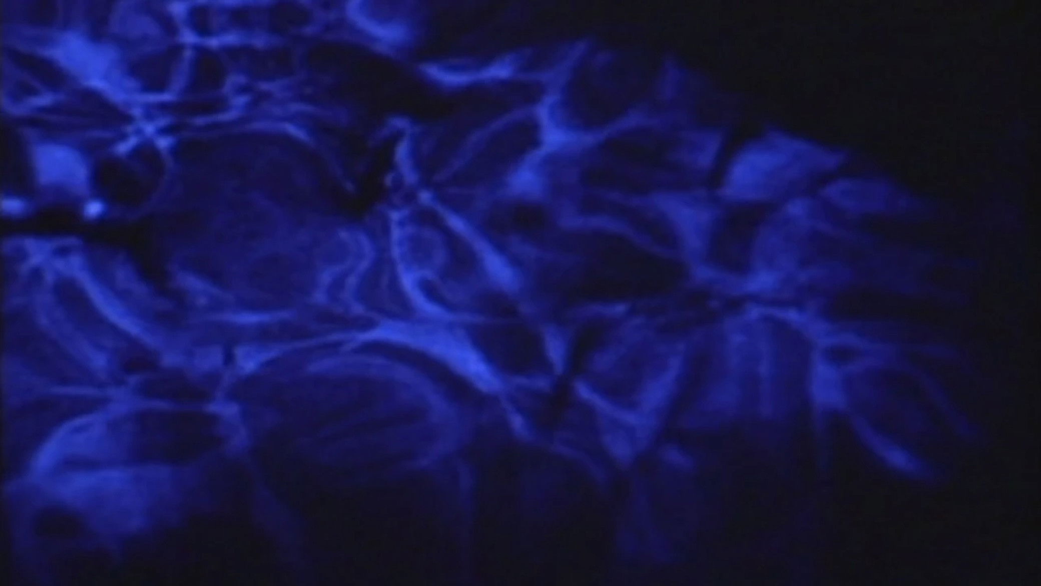 Psalm I: The Lateness of the Hour