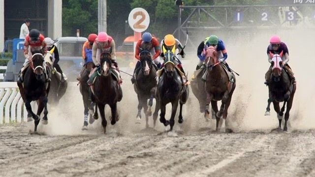 Dreams Bloom at Kochi Racecourse