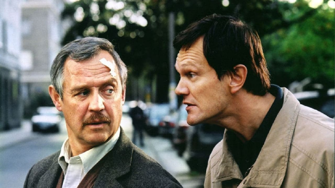 Adaś Miauczyński Collection