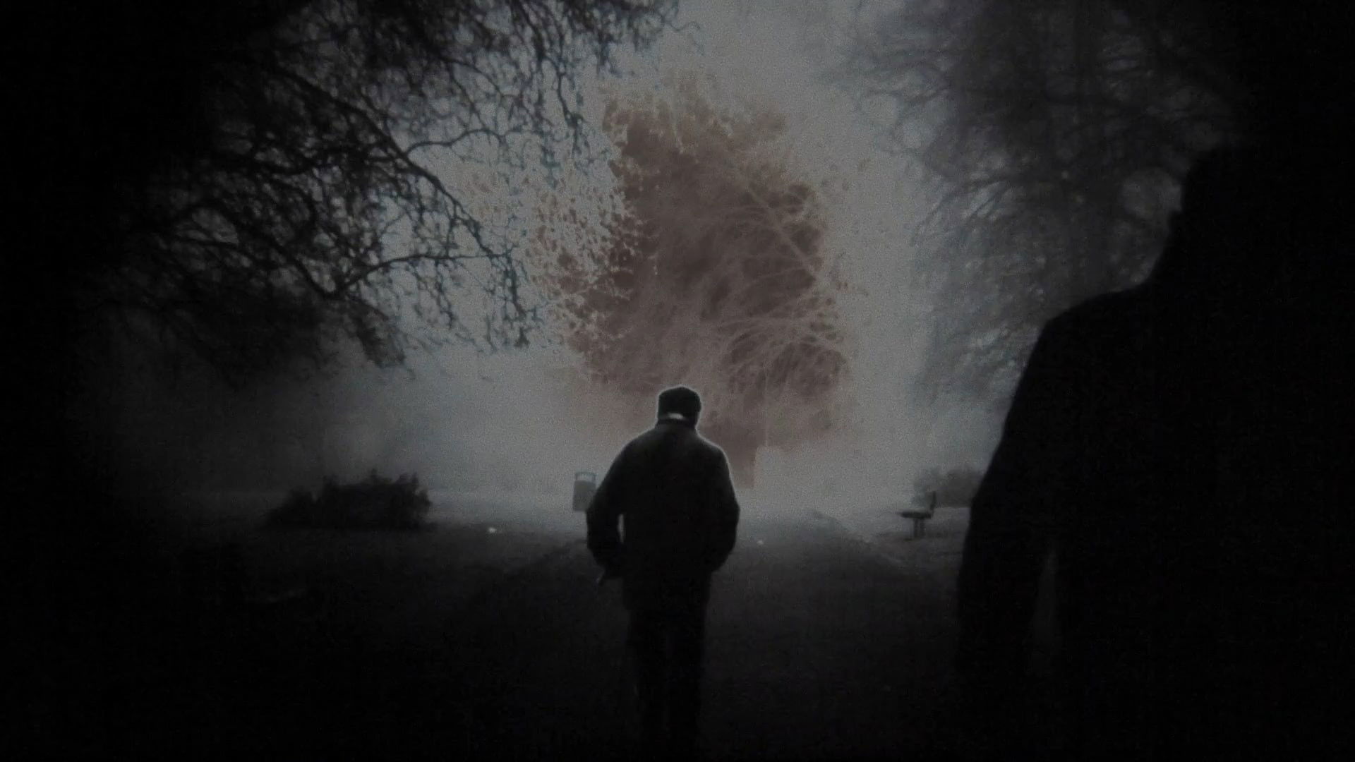 Ten Years In The Sun