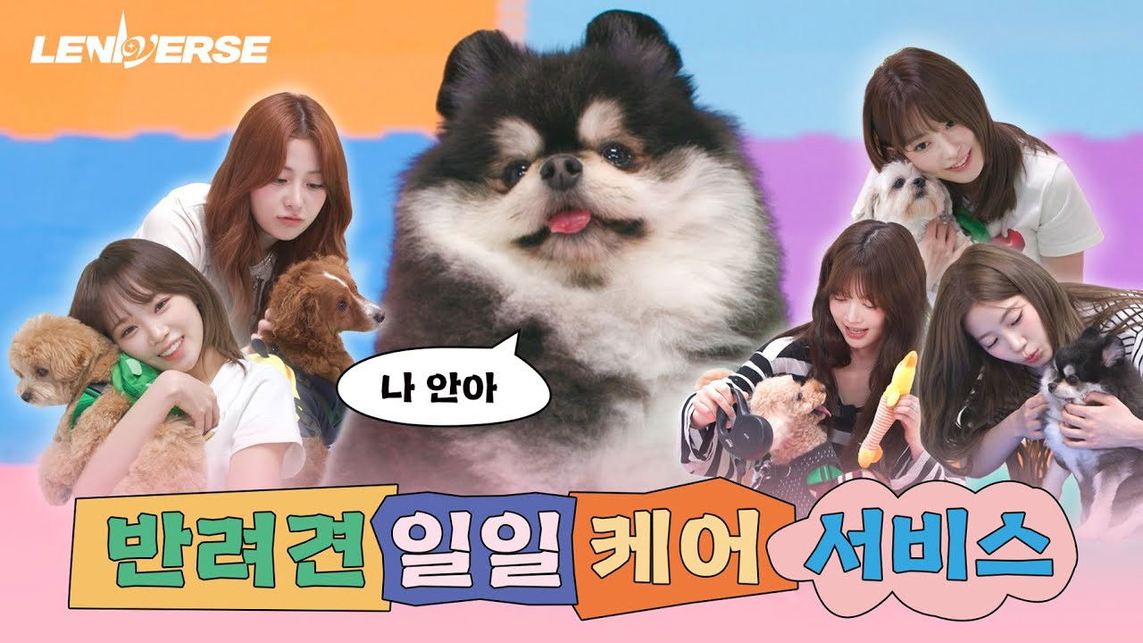 EP.59 Dog Petsitter: One-Day Pet Care Service Part 1