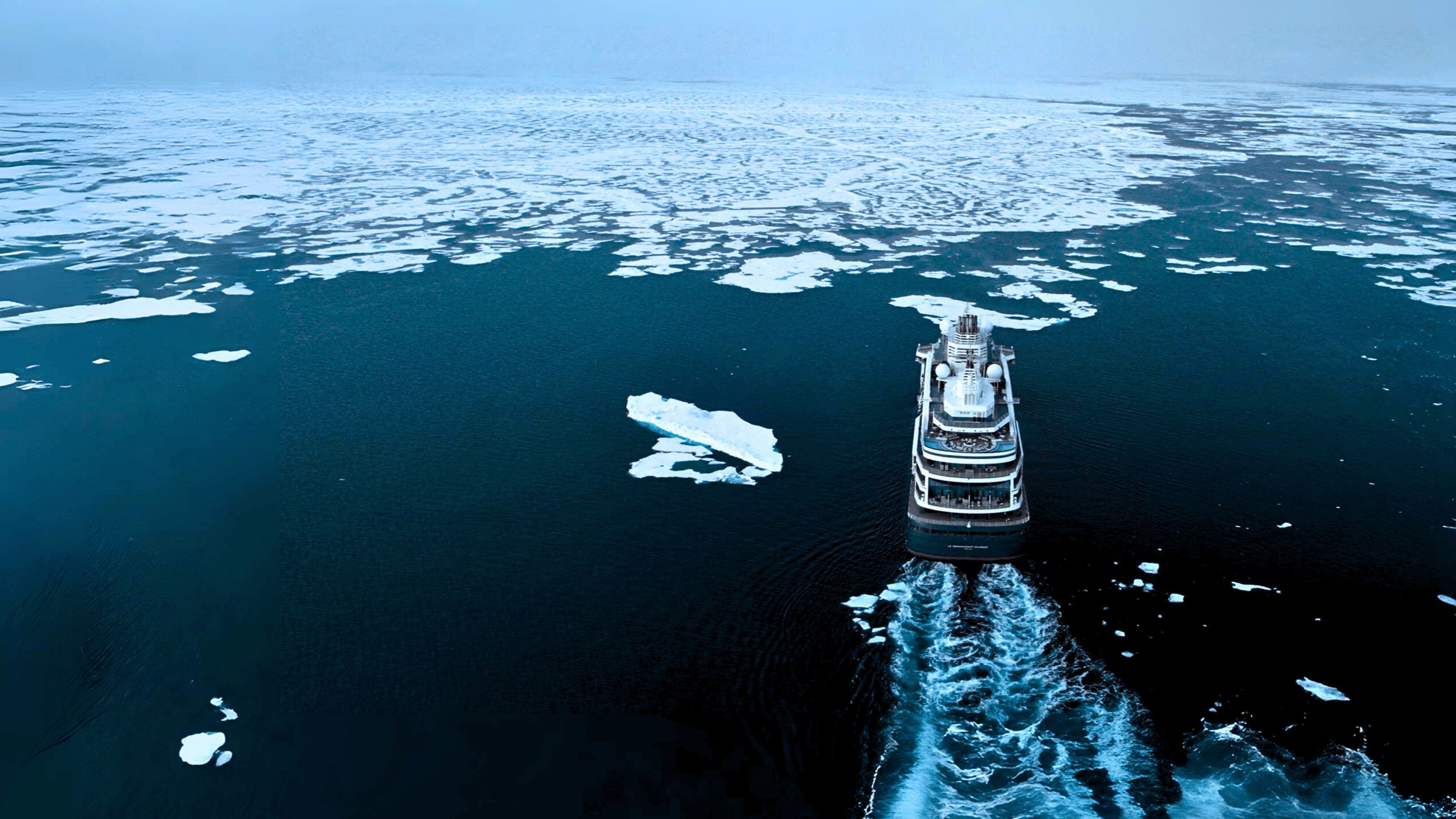 Chuck Norris: Private Lesson