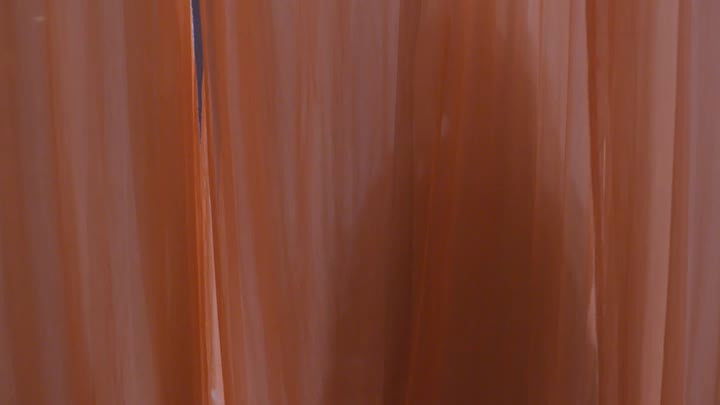 Neelu Plans to Ruin The Event