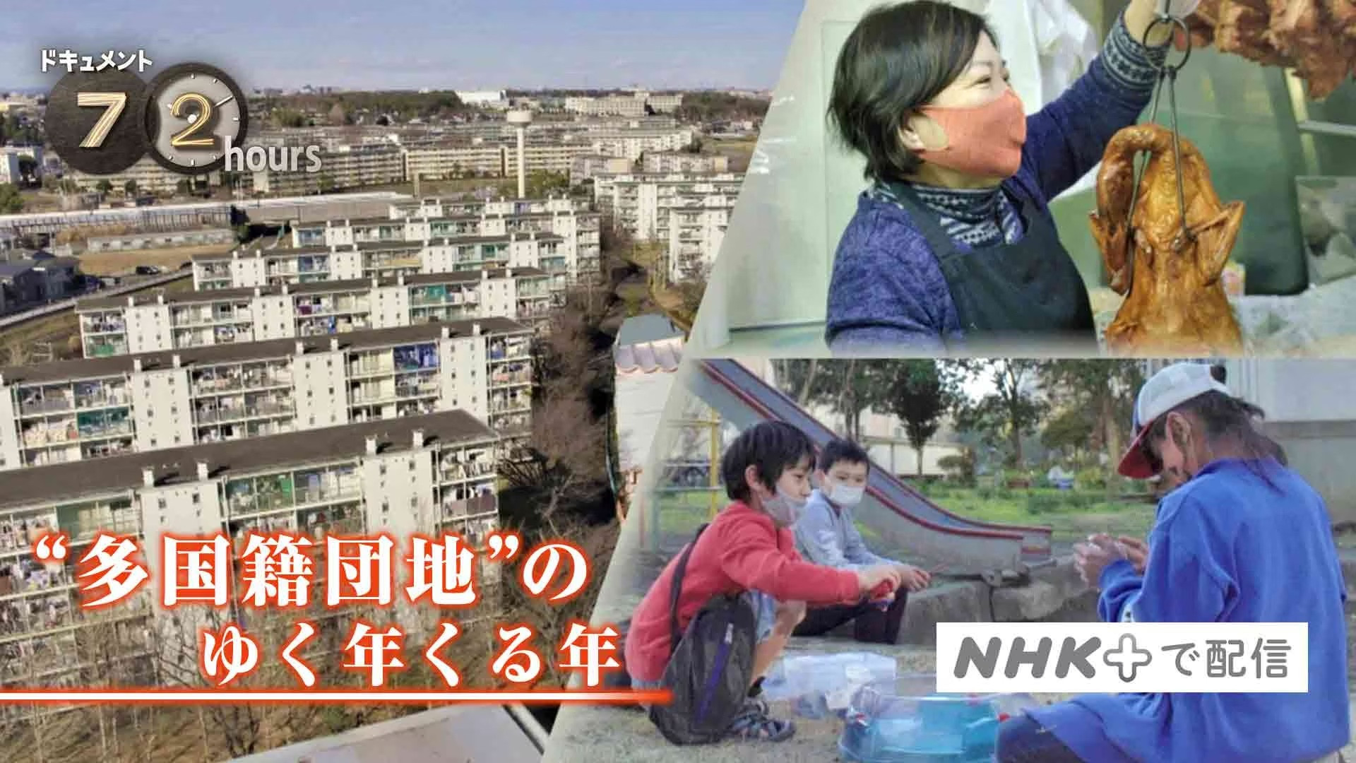 The Old Year and the New Year in a Multinational Housing Complex