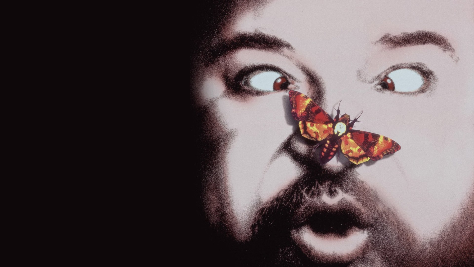 A báránysültek hallgatnak