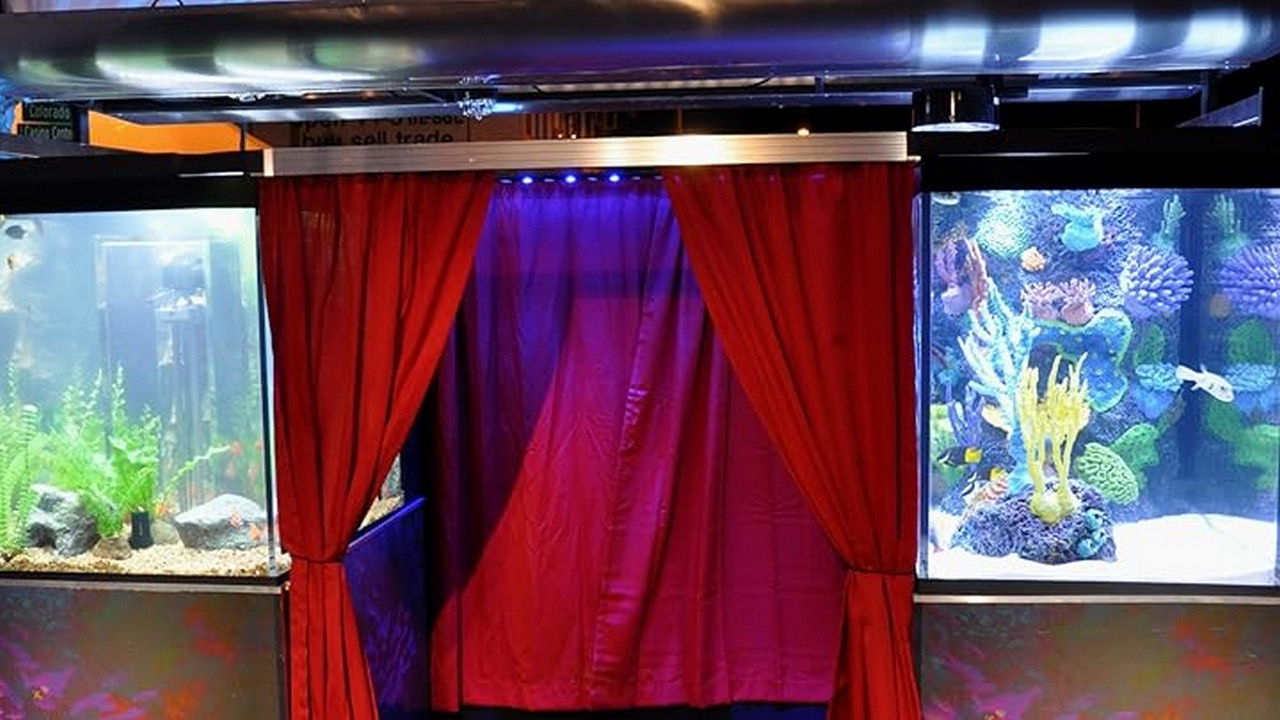 Smiling Is the Best Medicine