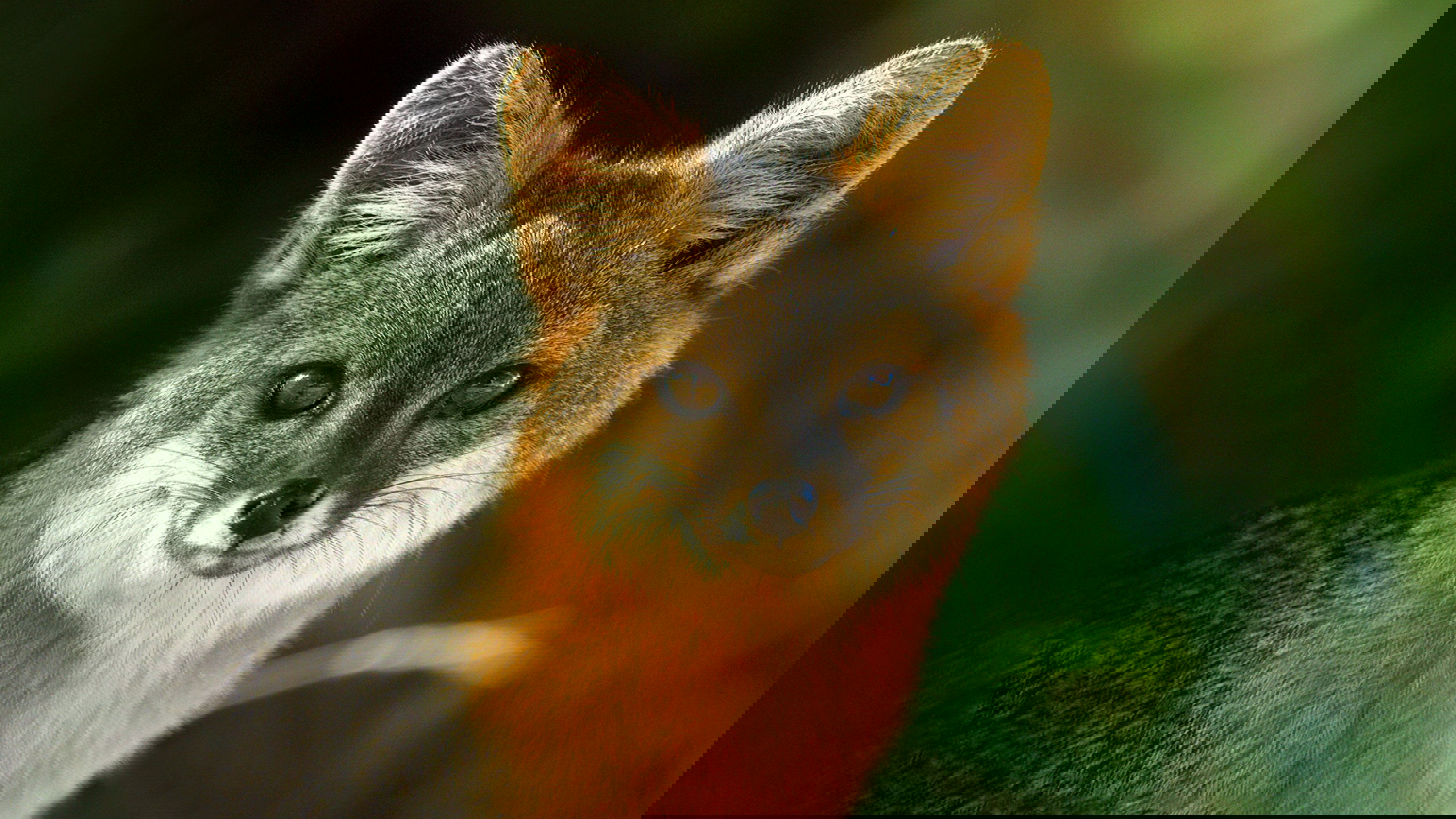 America's National Parks